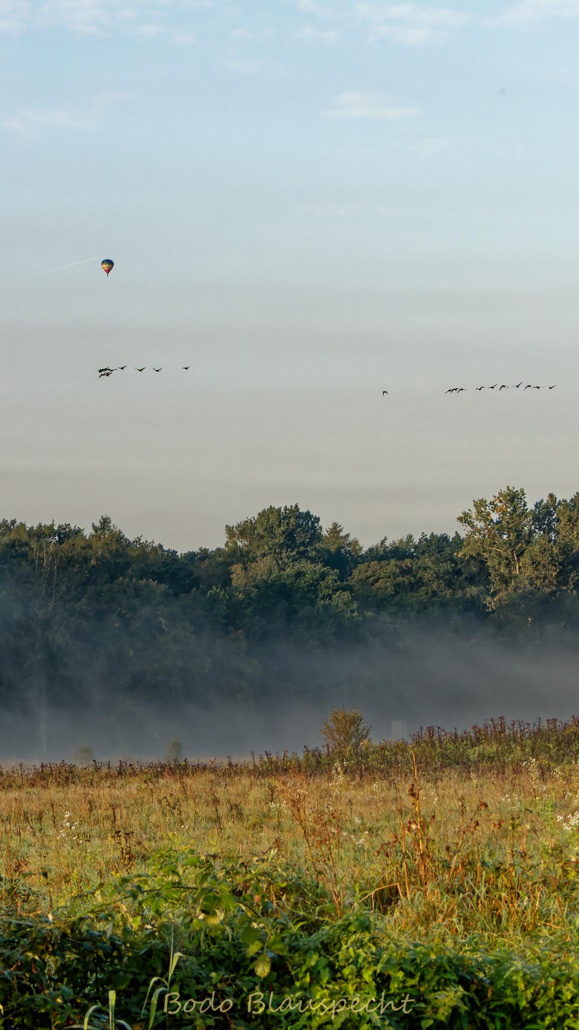 Ballon   Steveraue   2023.09.30 08.30 04 HQ